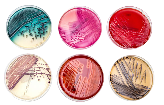 Services4moderntools