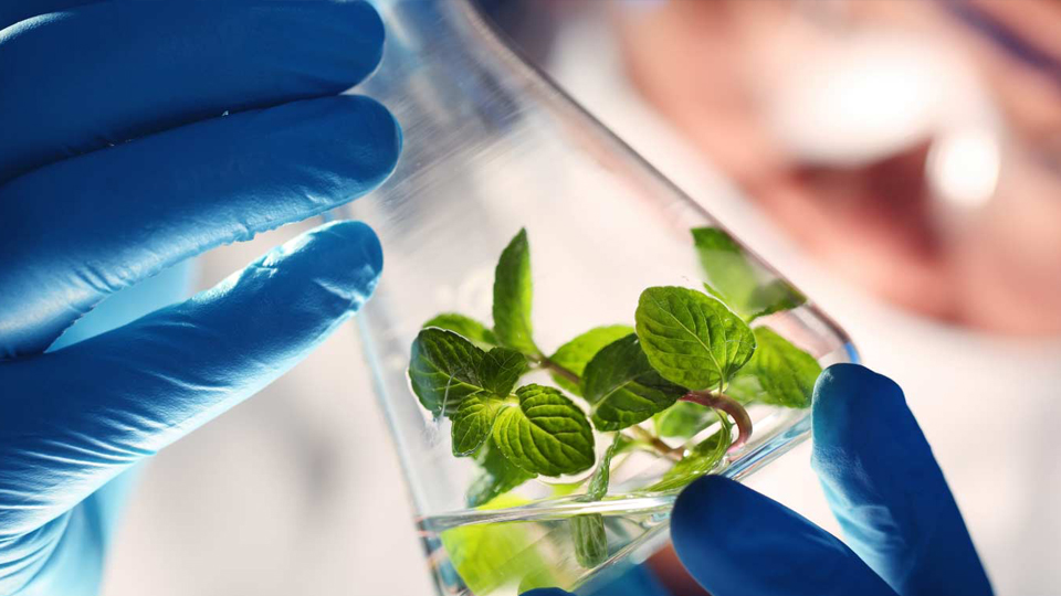 industry-expertsBlog1