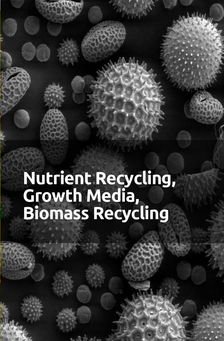 services-3-Microbial-Fermentation